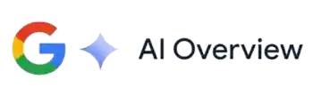 Google AI Overview
